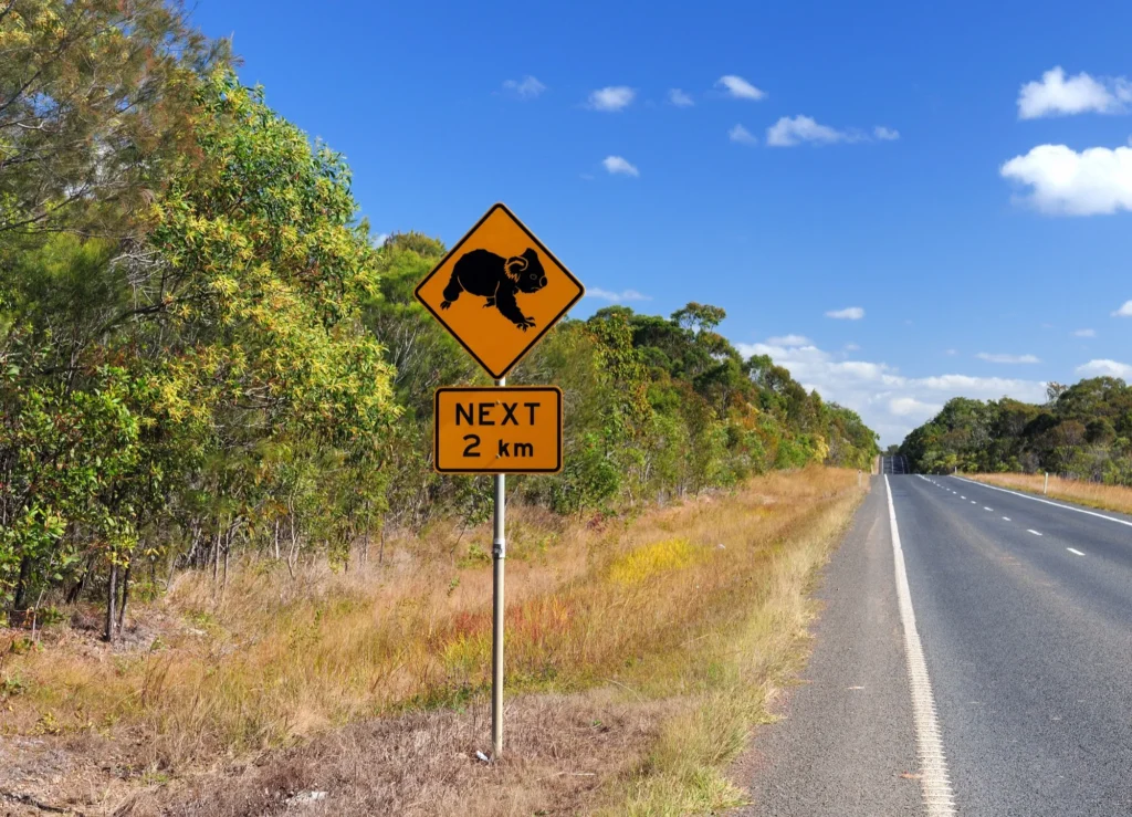 Yellow koala crossing warning sign reading "Next 2 km" beside a rural highway